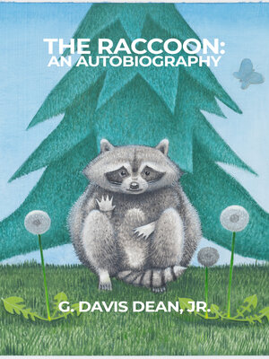 cover image of The Raccoon